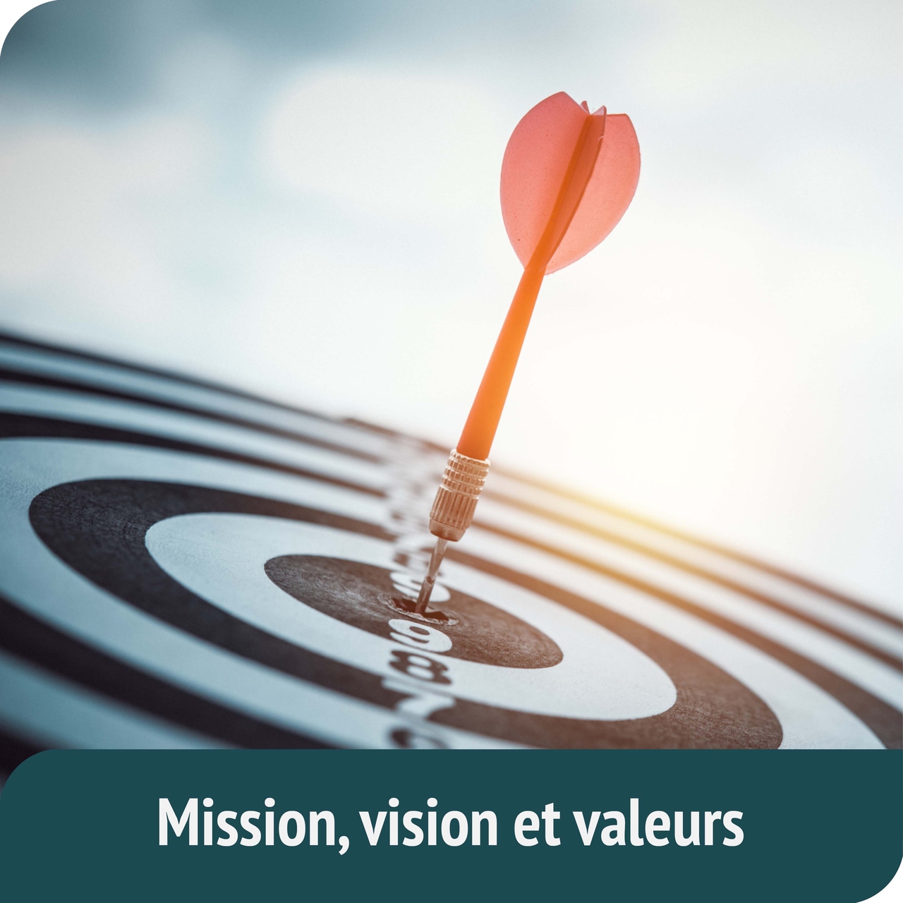 Mission, vision et valeurs